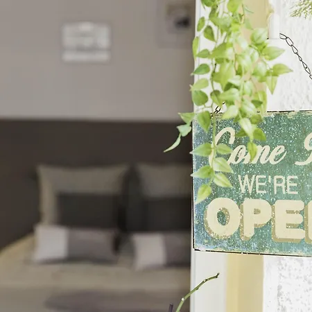 La Maison Fleurie By Halldis 公寓 戛纳