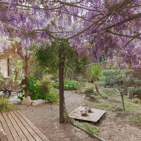 La Maison Fleurie By Halldis Διαμέρισμα Κάννες